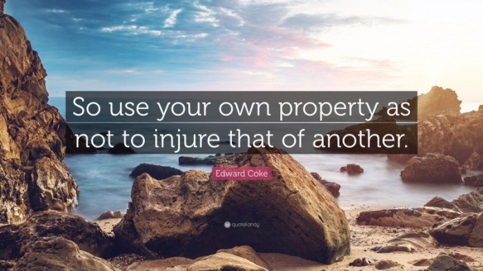 Injure property another own use so quotes quote coke edward