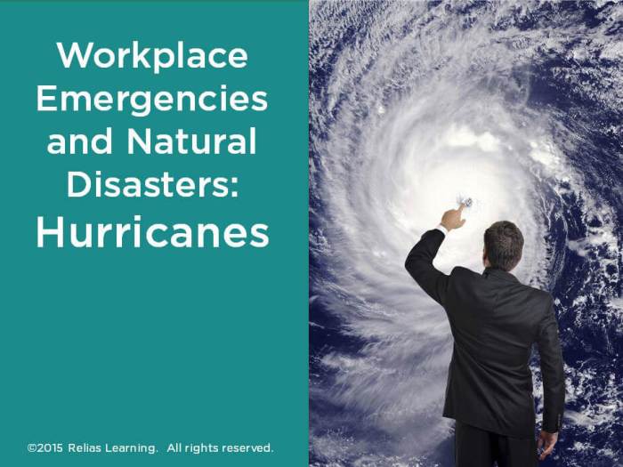 Natural disasters and workplace emergencies an overview