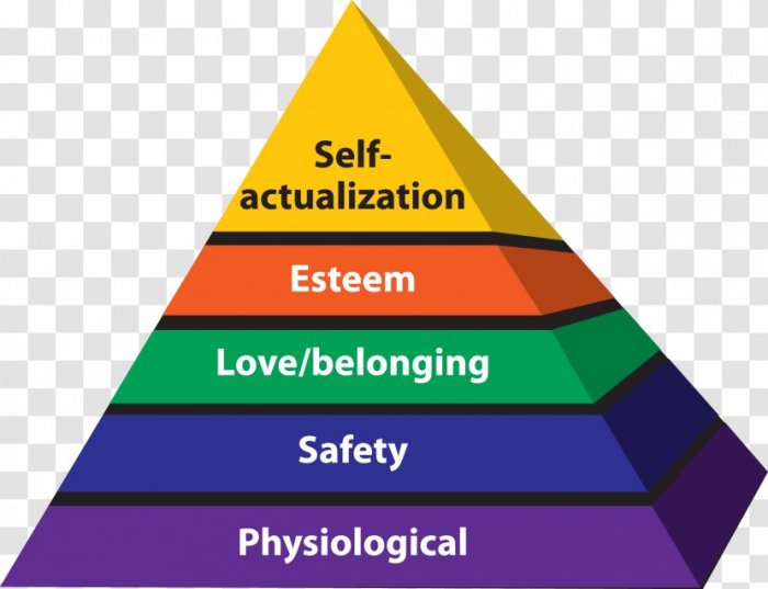 The humanistic theory of abraham maslow emphasizes that